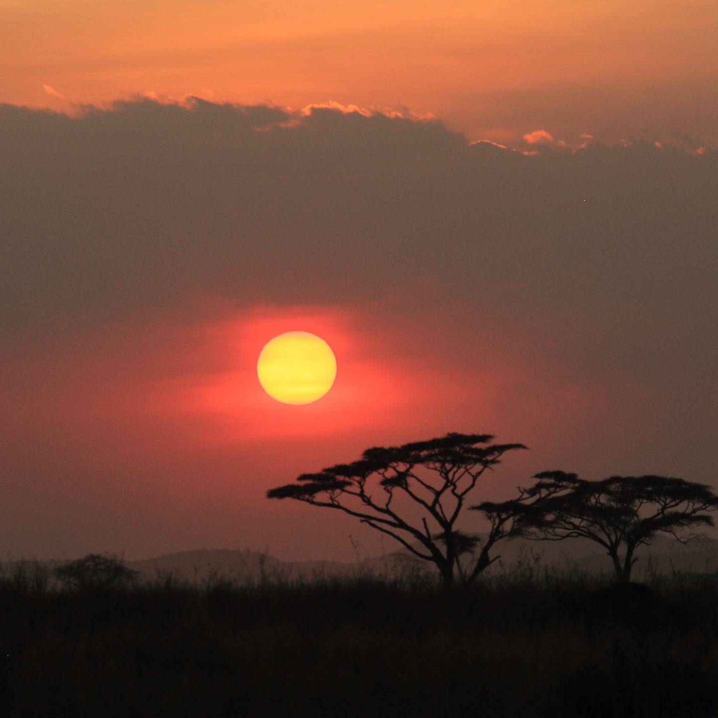 Tanzania Traumziel