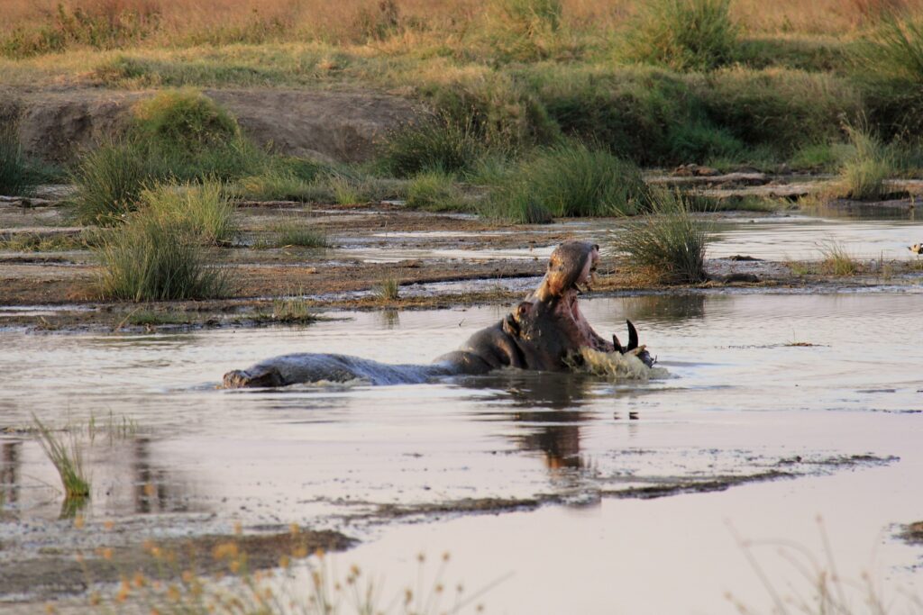 Tanzania Traumurlaub